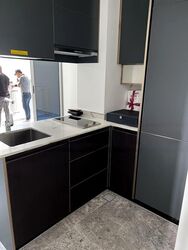 Wilshire Residences (D10), Apartment #499706351